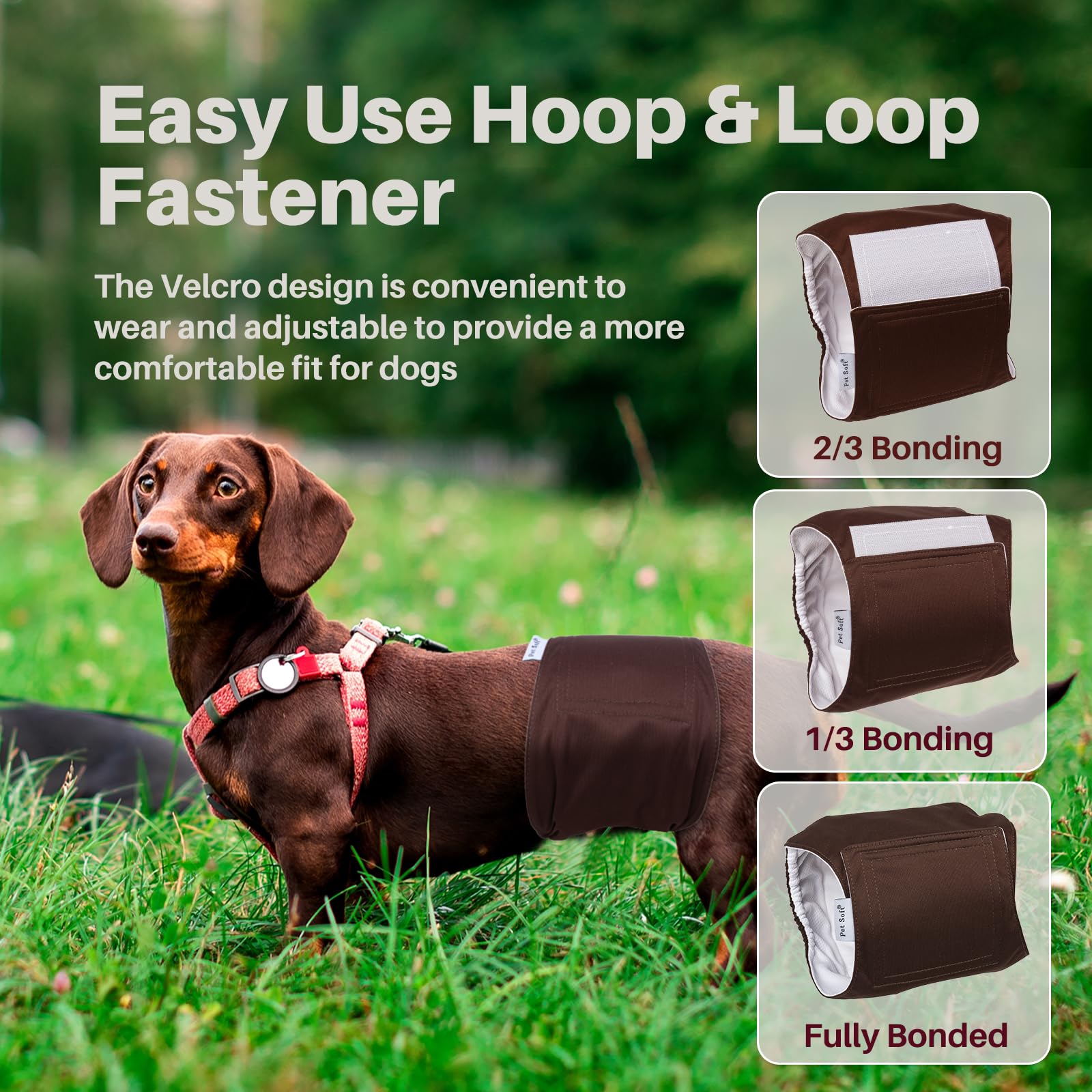 Pet Soft fermeture velcro solide, maintien sécurisé