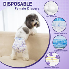 Pet Soft gros plan sur noyau ultra-absorbant pour absorption rapide