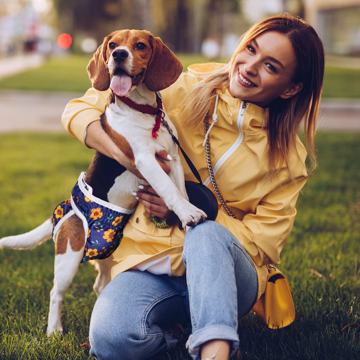 Pet Soft guide des tailles clair aidant à choisir la bonne taille L