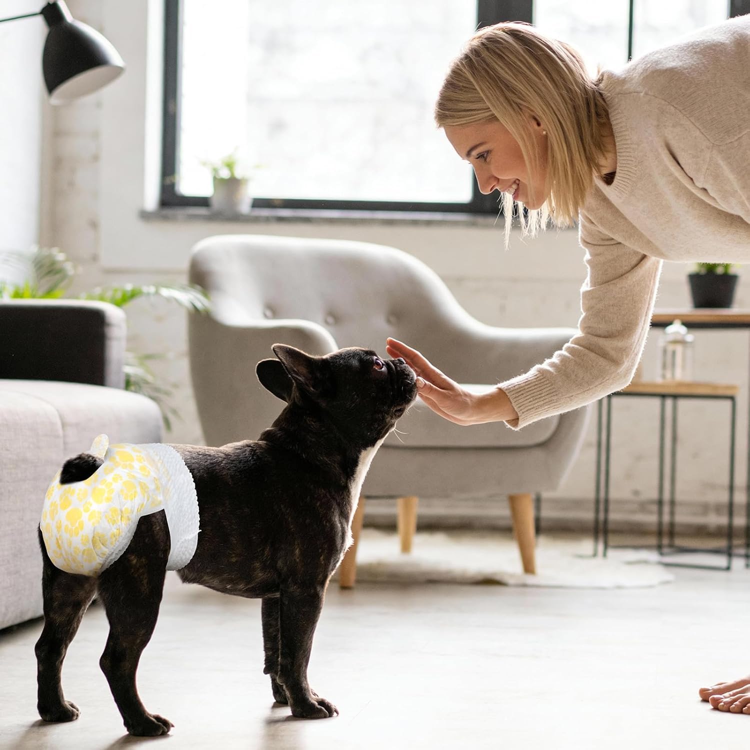 Pet Soft gros plan tissu non tissé respirant, confort prolongé