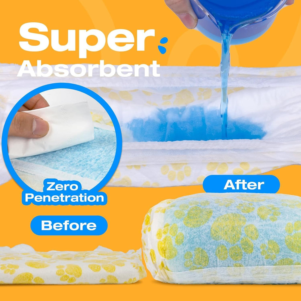 Pet Soft mise en place sur chienne illustrant la simplicité
