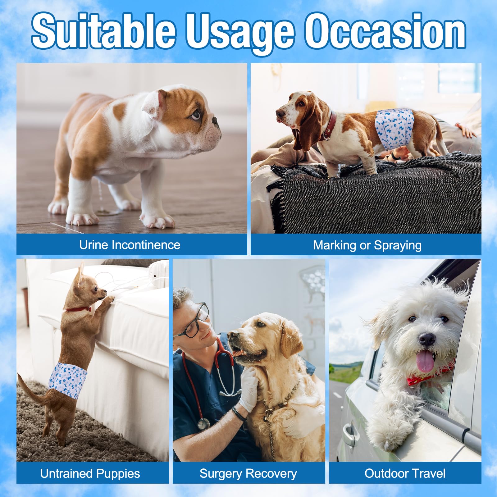 Pet Soft vue du motif bleu et du cœur absorbant montrant absorption rapide