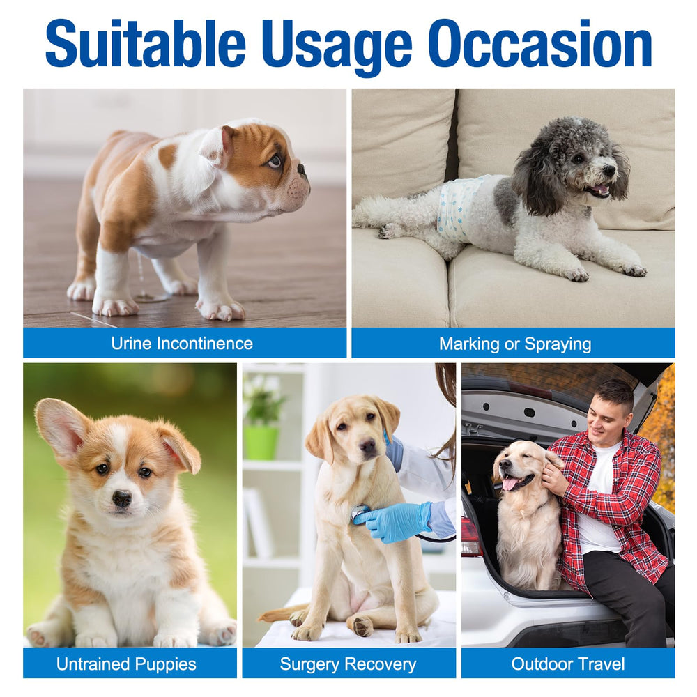 Pet Soft motifs variés du pack de 12 pour distinguer chaque changement
