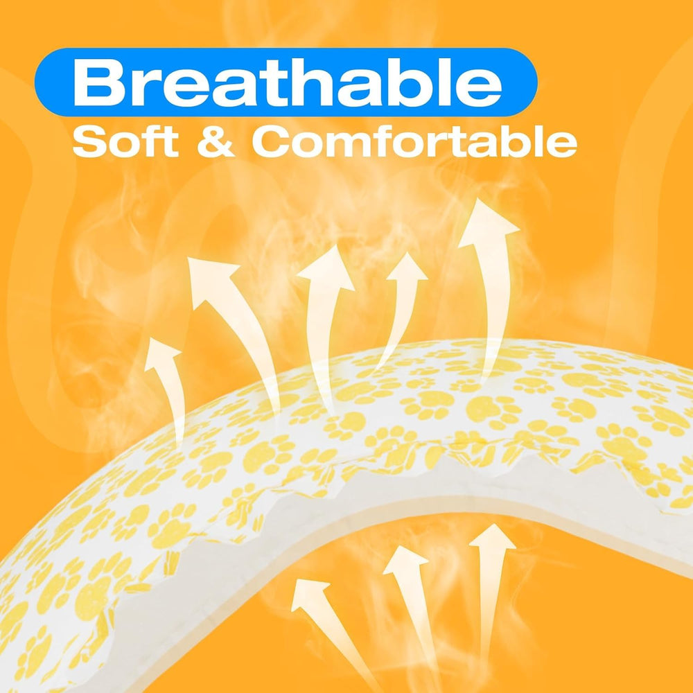 Pet Soft fente pour la queue facilitant le positionnement naturel