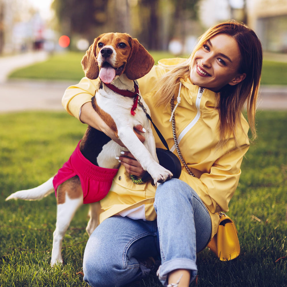 Pet Soft pack de trois couleurs disposées, praticité pour plusieurs animaux