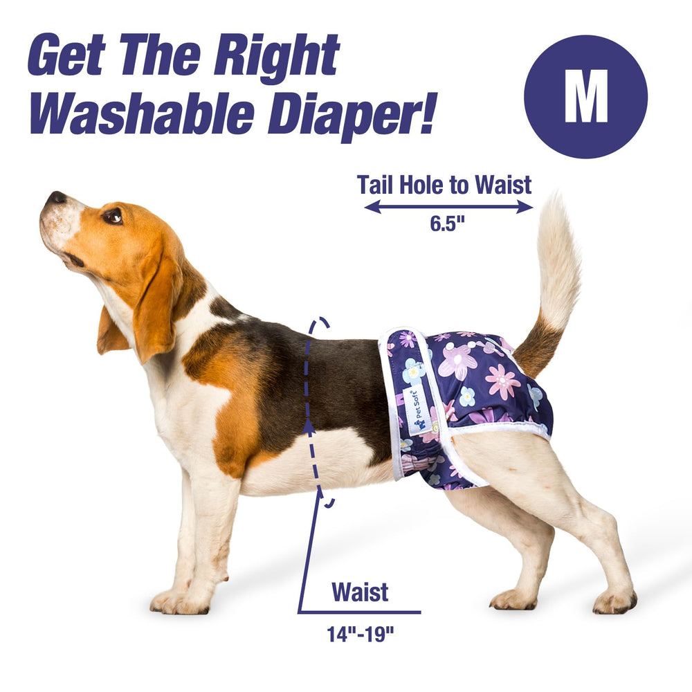 Pet Soft couche portée sur chienne moyenne pour protection quotidienne