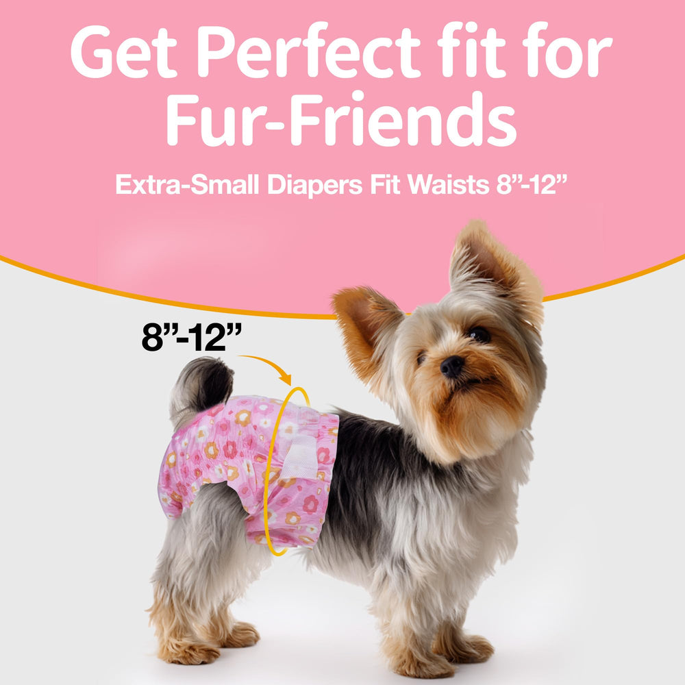 Pet Soft ceinture élastique profilée pour maintien confortable
