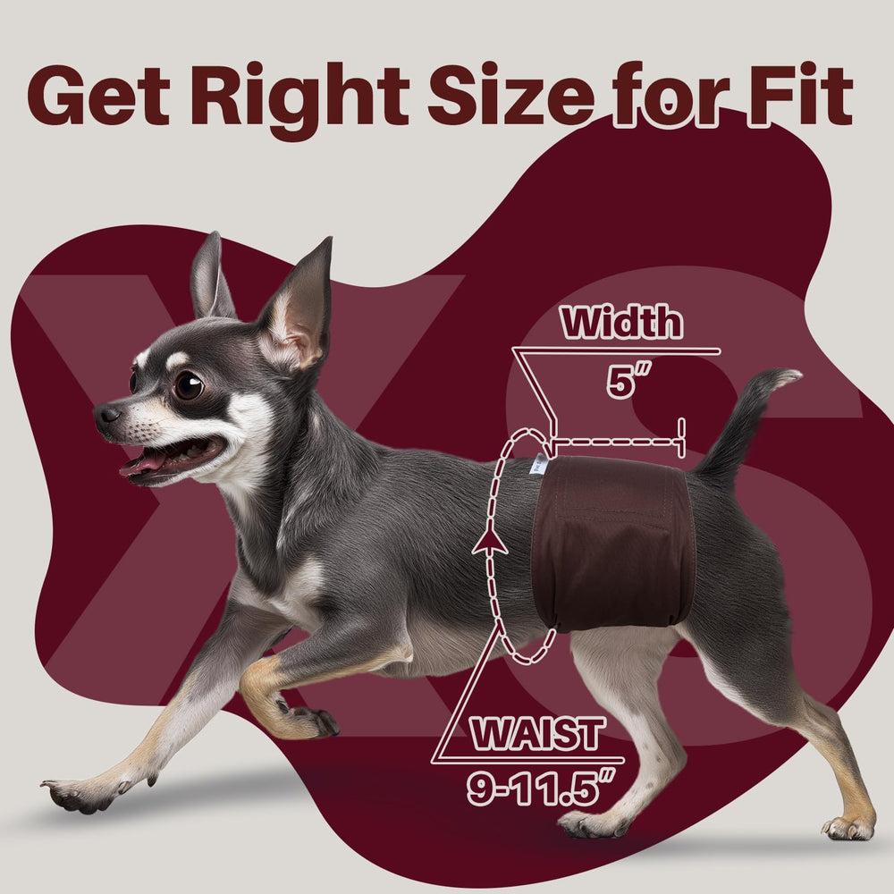 Pet Soft élastique taille profil, ajustement flexible