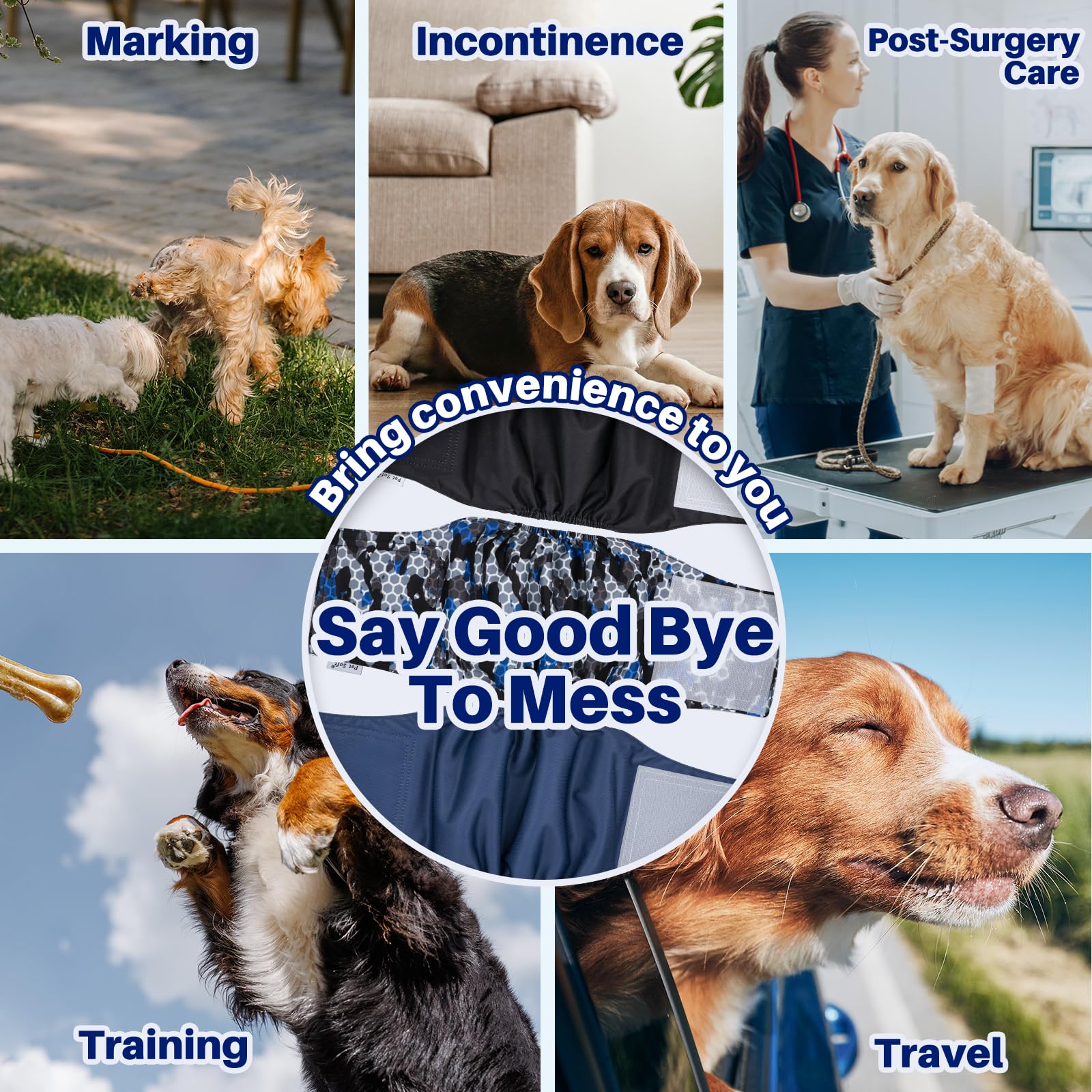 Pet Soft profil latéral sur chien montrant ajustement sécurisé et confort