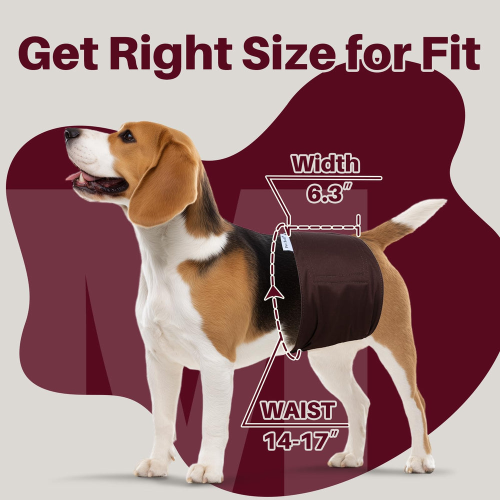 Pet Soft détail du velcro solide offrant fixation sécurisée pour activité