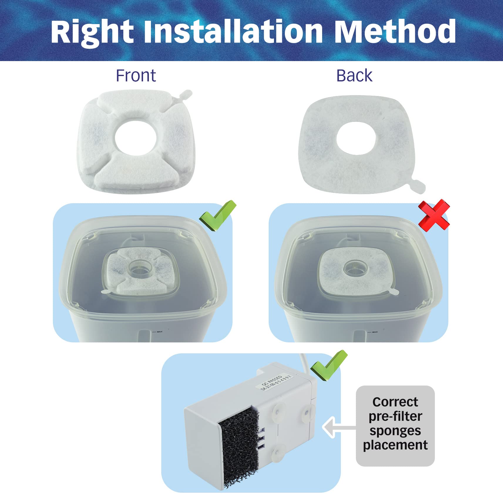 PET STANDARD comparaison taille main montre dimensions et facilité d'installation