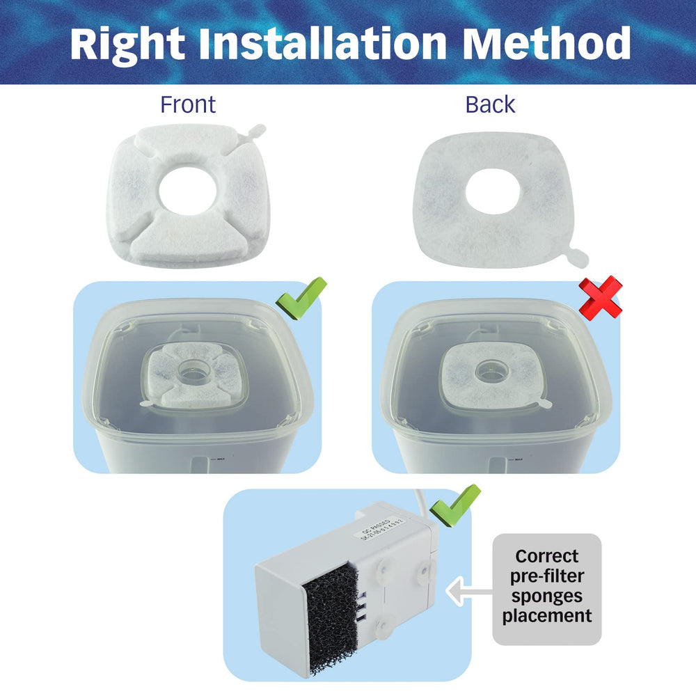 PET STANDARD comparaison taille main montre dimensions et facilité d'installation