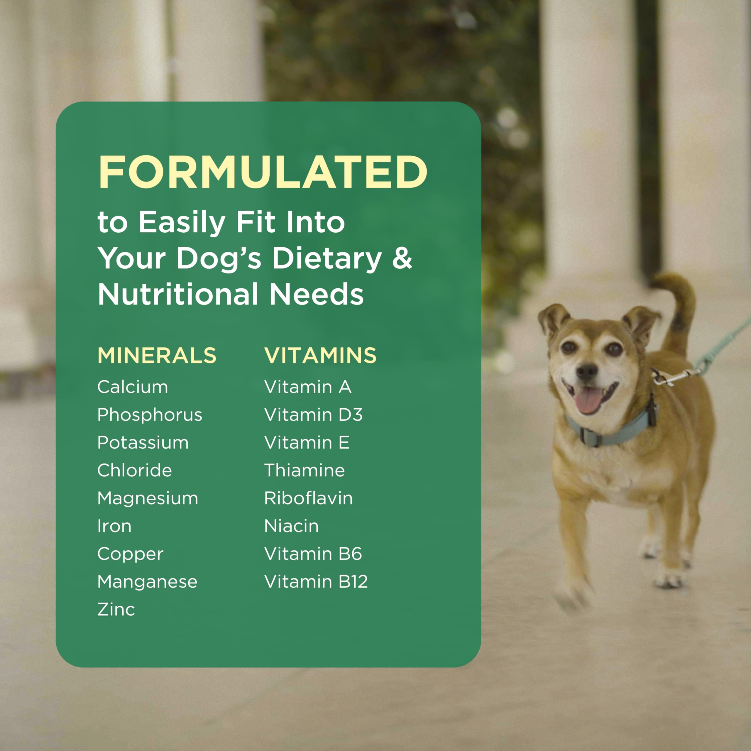 Chien acceptant un Pet-Tabs montrant la facilité d'administration