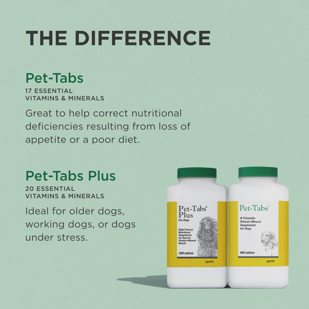 Pet-Tabs offert à un chien heureux, favorise acceptation et routine