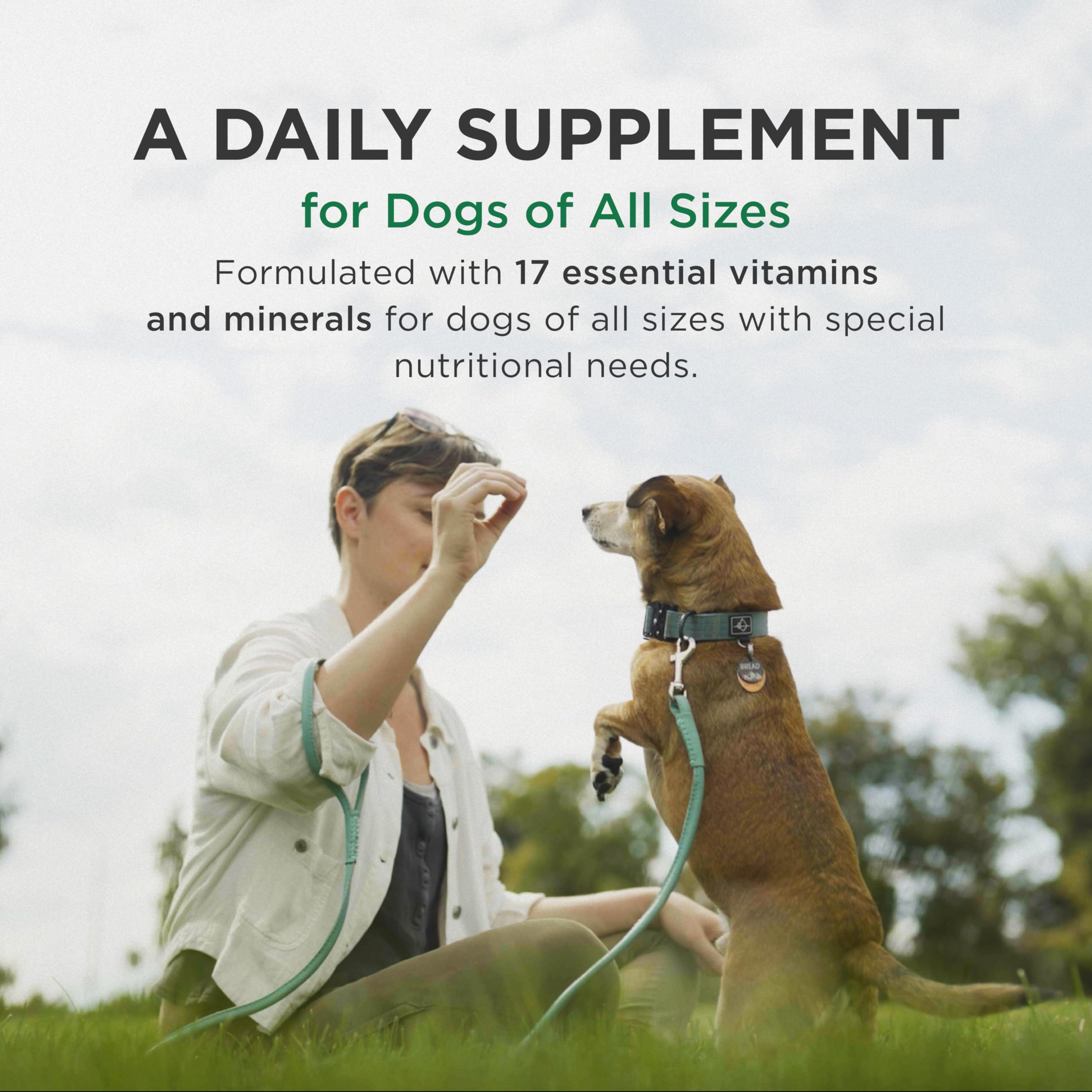 Pet-Tabs comprimés dans la main montrant la taille pratique et portionnable