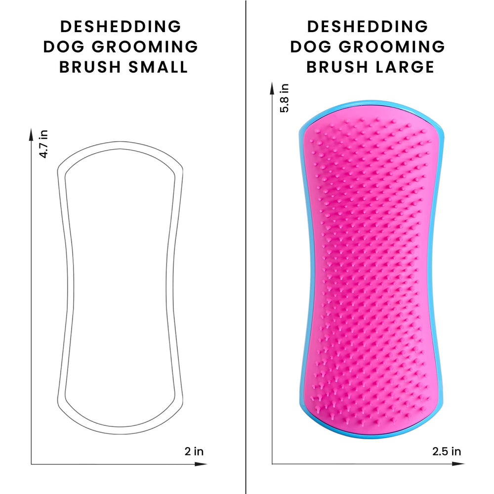 Pet Teezer à côté d’un chien pour comparer taille et couverture du brossage