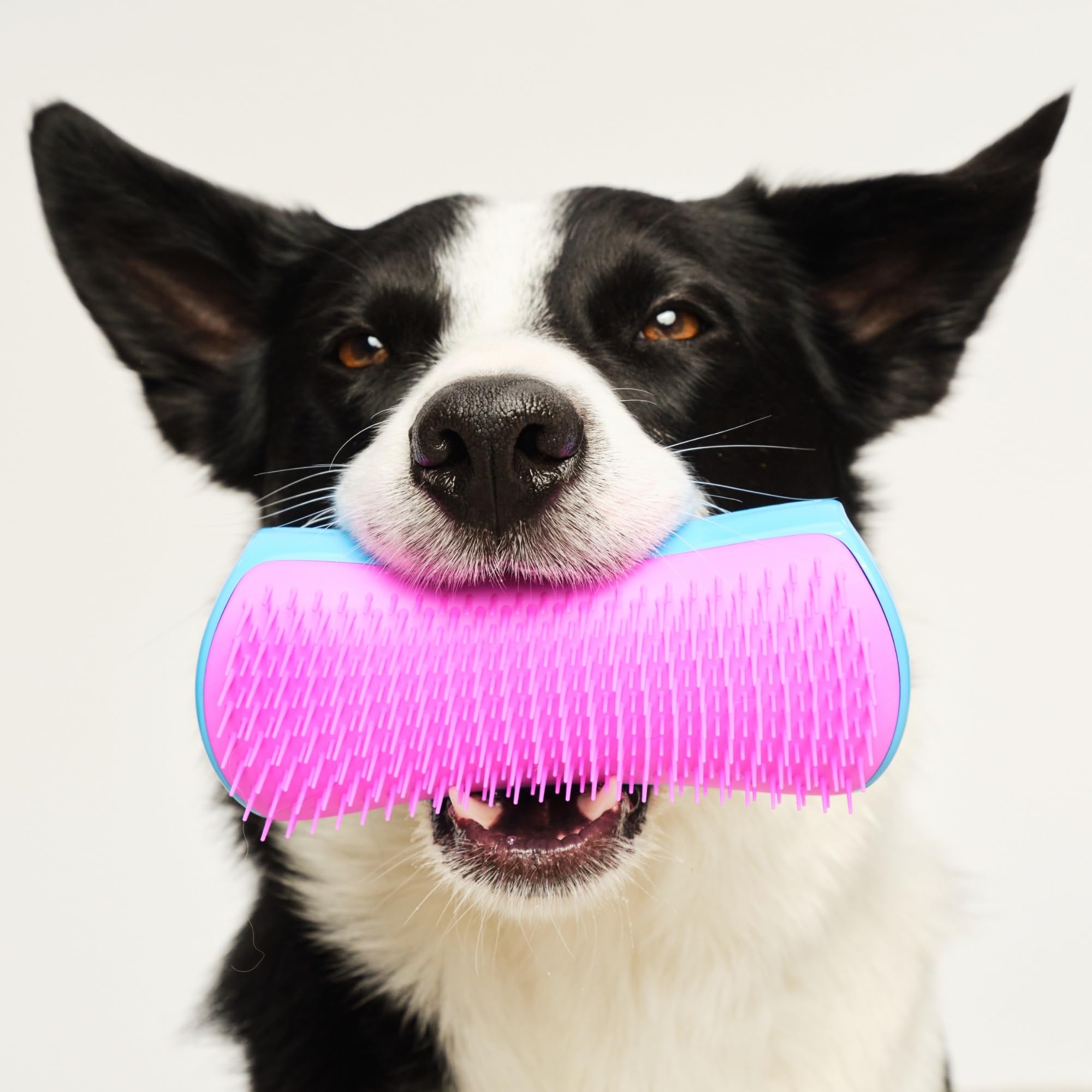 Pet Teezer rincée à l’eau tiède pour un nettoyage facile et hygiénique