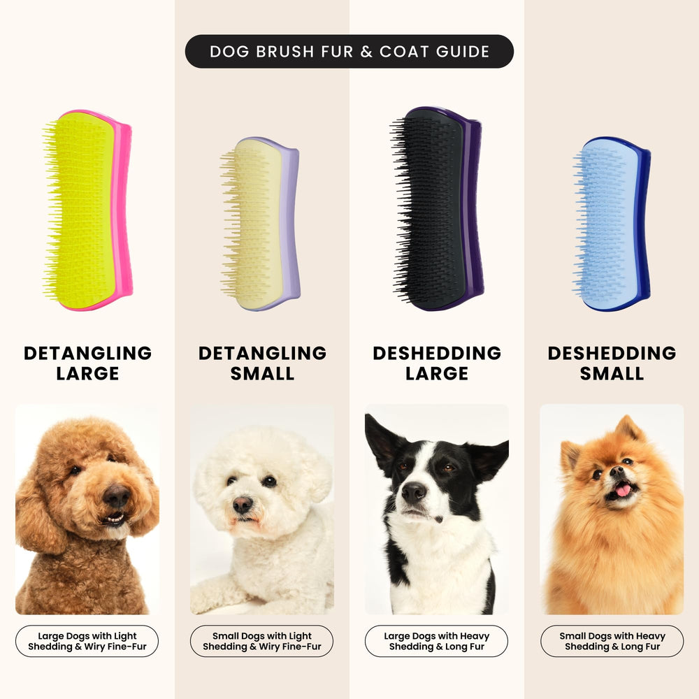 Pet Teezer emballage durable, nouvelle présentation respectueuse de l'environnement