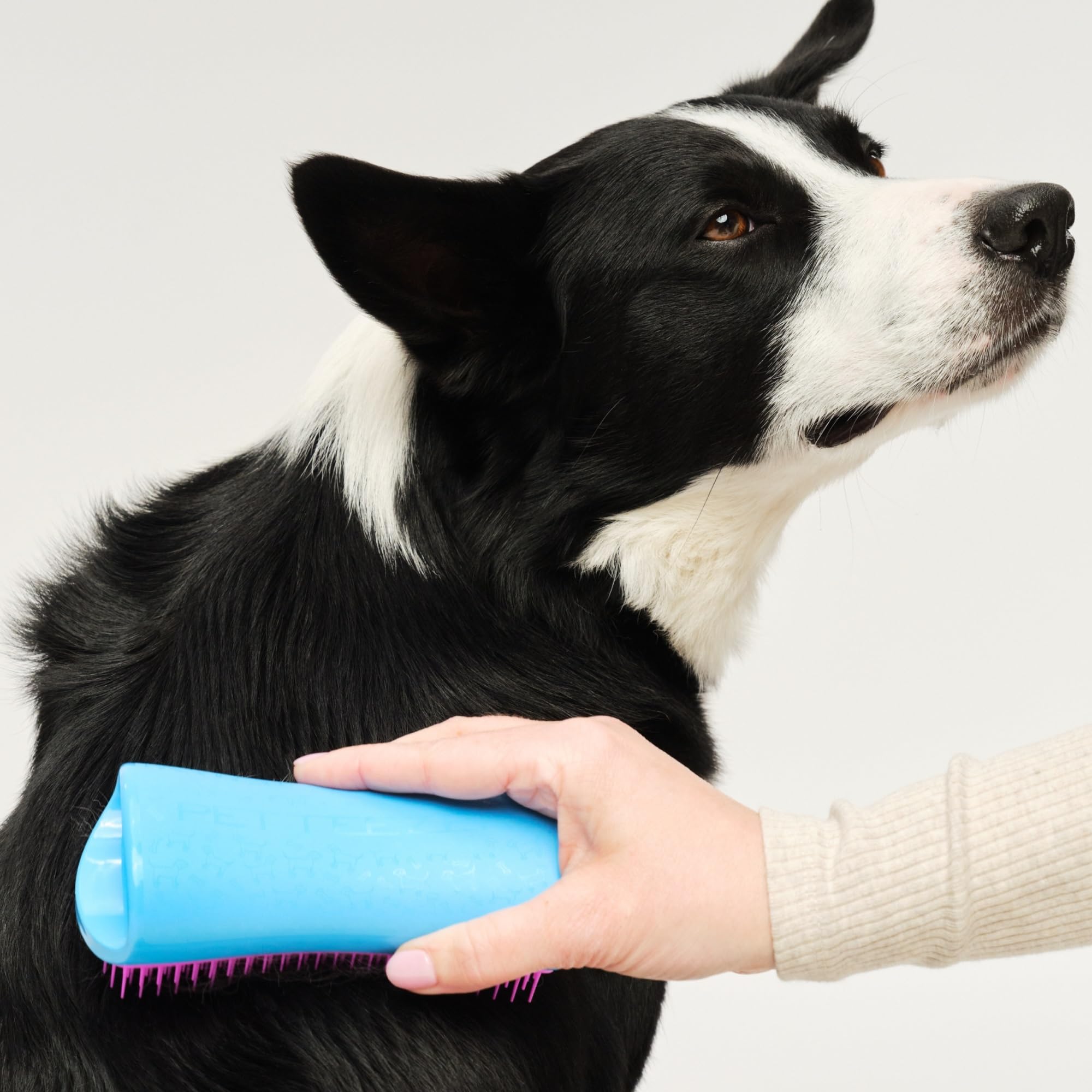 Pet Teezer tenue en main ergonomique réduisant la fatigue au poignet