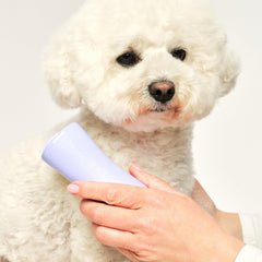 Pet Teezer prise en main paume-friendly, réduit la fatigue du poignet