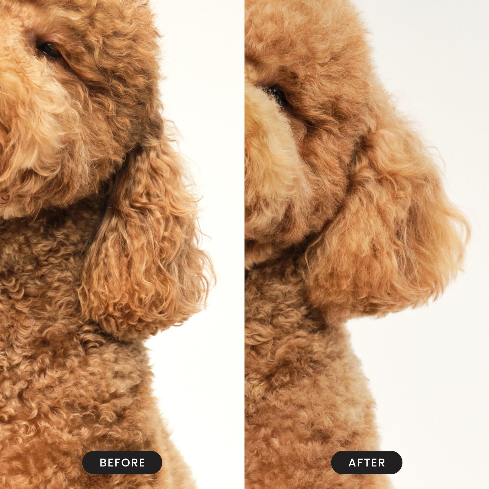 Pet Teezer utilisée sous la douche, répartit shampooing et nettoie