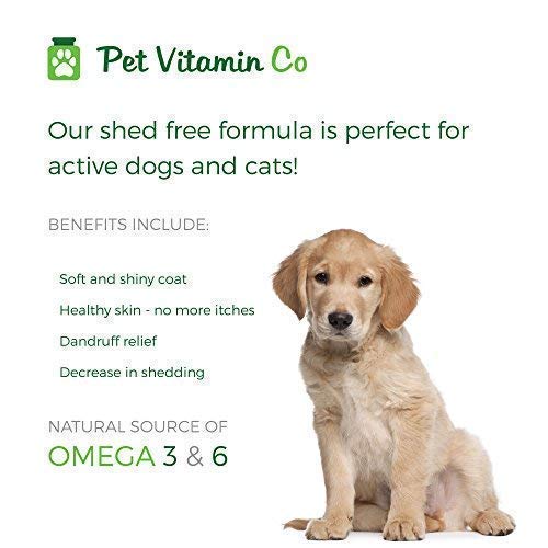 Pet Vitamin Co gros plan sur la texture du chew pour acceptation facile