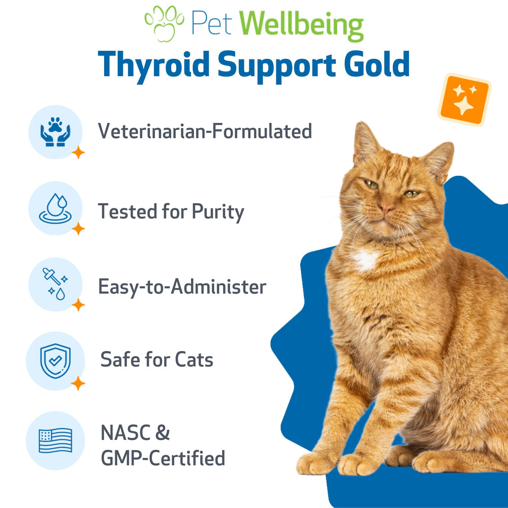 Pet Wellbeing goutte administrée directement confort pour chats réticents aux pilules