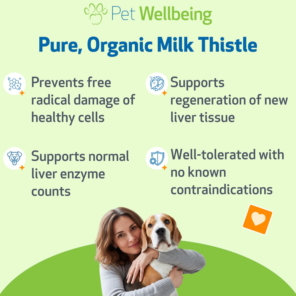 Pet Wellbeing pipette en action pour dosage précis et absorption optimale