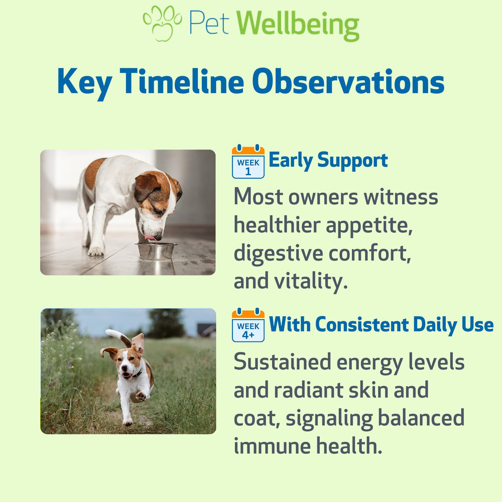 Pet Wellbeing compte-gouttes en usage pour dosage précis et pratique