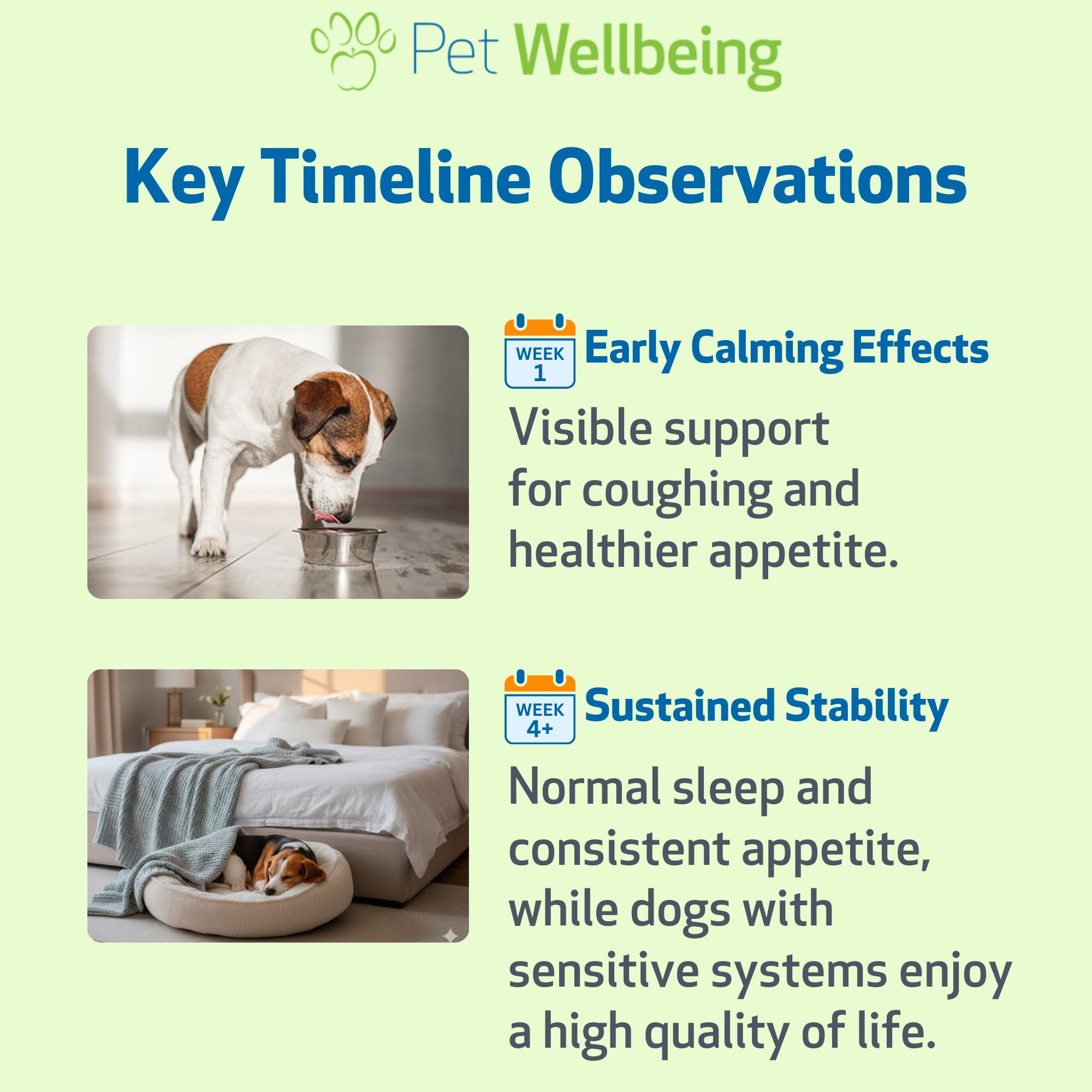 Pet Wellbeing image des certifications garantissant pureté et sécurité