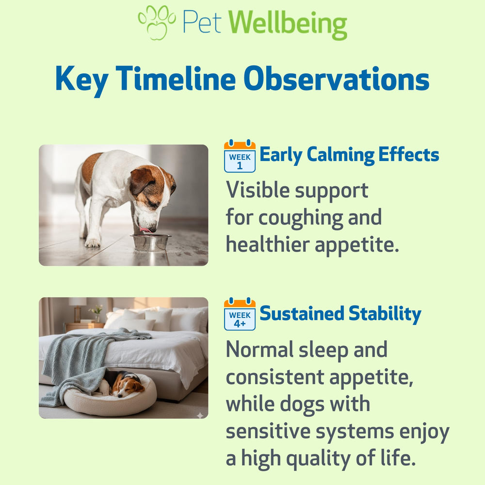 Pet Wellbeing image des certifications garantissant pureté et sécurité
