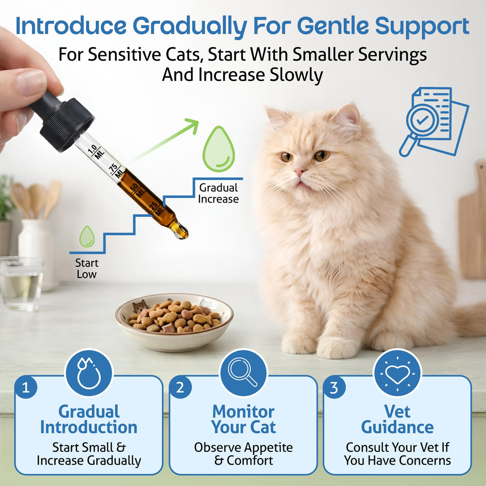 Pet Wellbeing emballage et icônes durables montrant engagement écologique