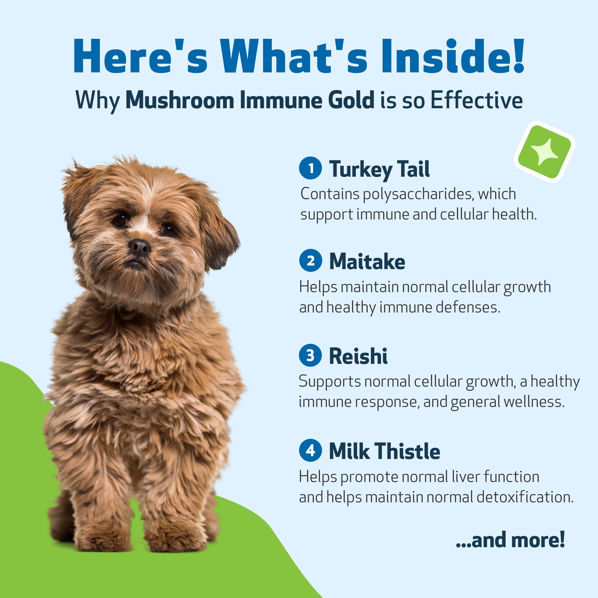 Pet Wellbeing étiquette produit listant champignons et certifications