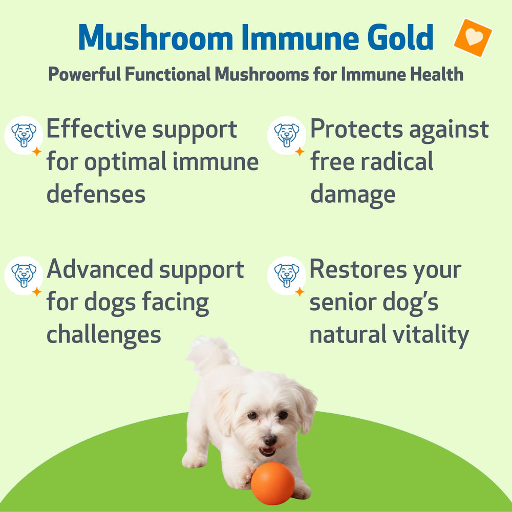 Pet Wellbeing gros plan du liquide montrant consistance et pureté