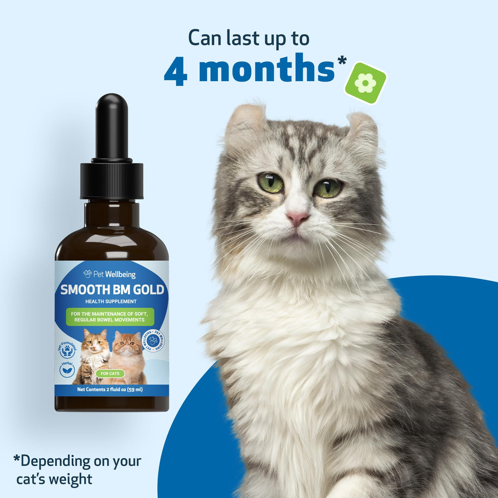 Pet Wellbeing guide posologie illustrant doses selon poids du chat