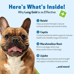 Pet Wellbeing seringue d'administration facilitant dosage précis pour chiens