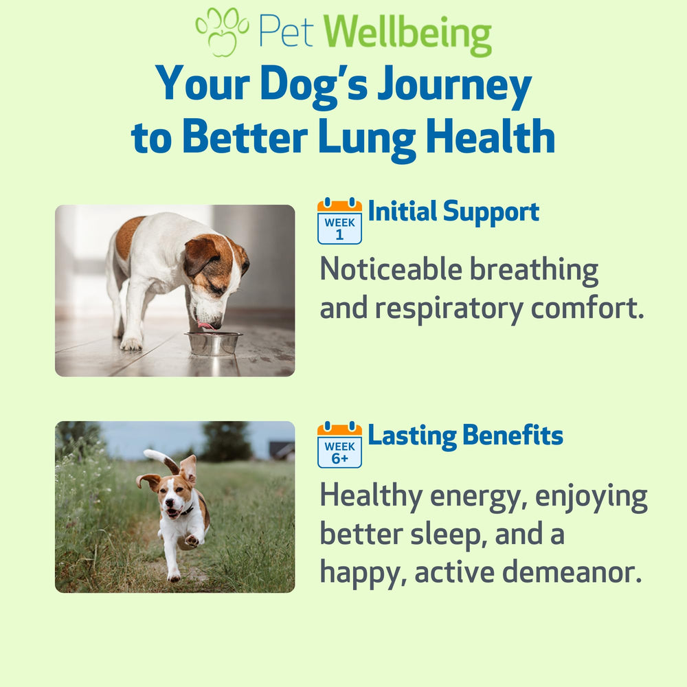 Pet Wellbeing packaging ouvert avec guide dosage pour administration simple