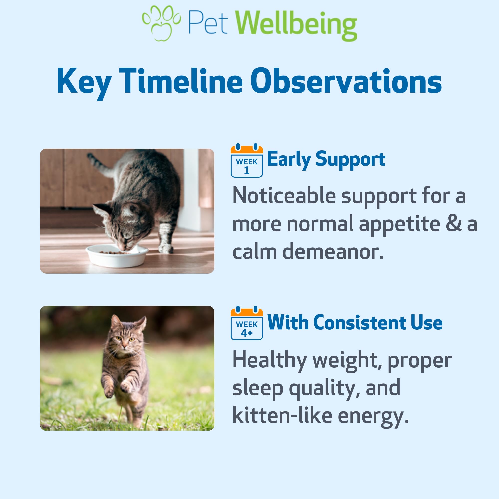 Pet Wellbeing liquide mélangé à la pâtée appétit facilité pour chats difficiles