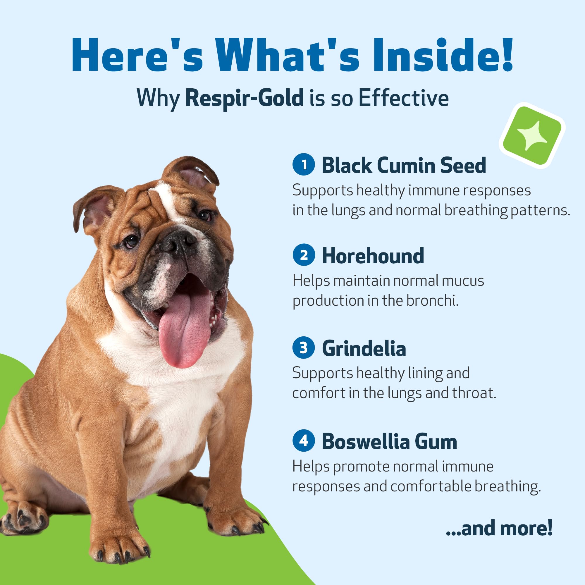 Pet Wellbeing liquide Respir-Gold couleur et texture pour absorption rapide et biodisponibilité
