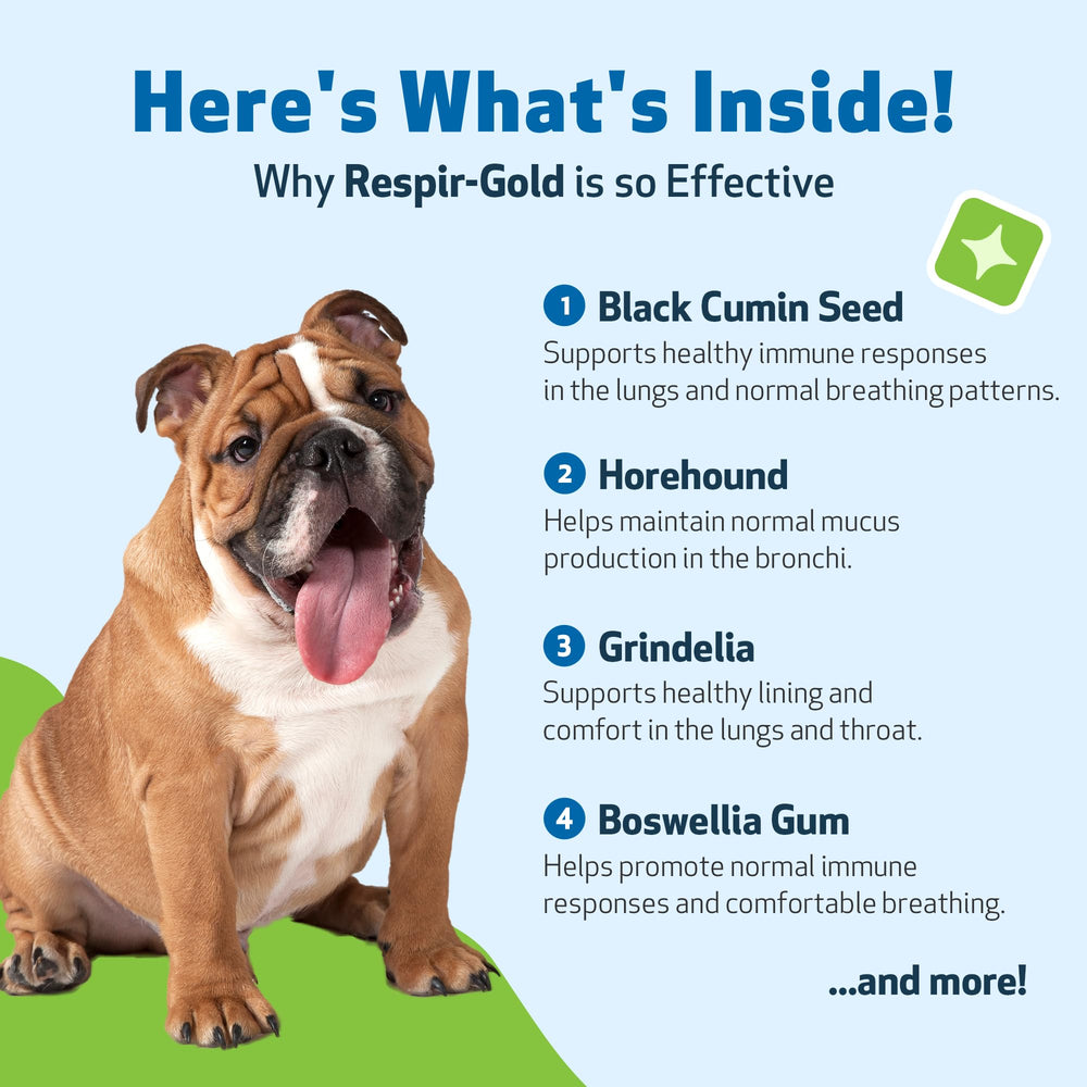 Pet Wellbeing liquide Respir-Gold couleur et texture pour absorption rapide et biodisponibilité