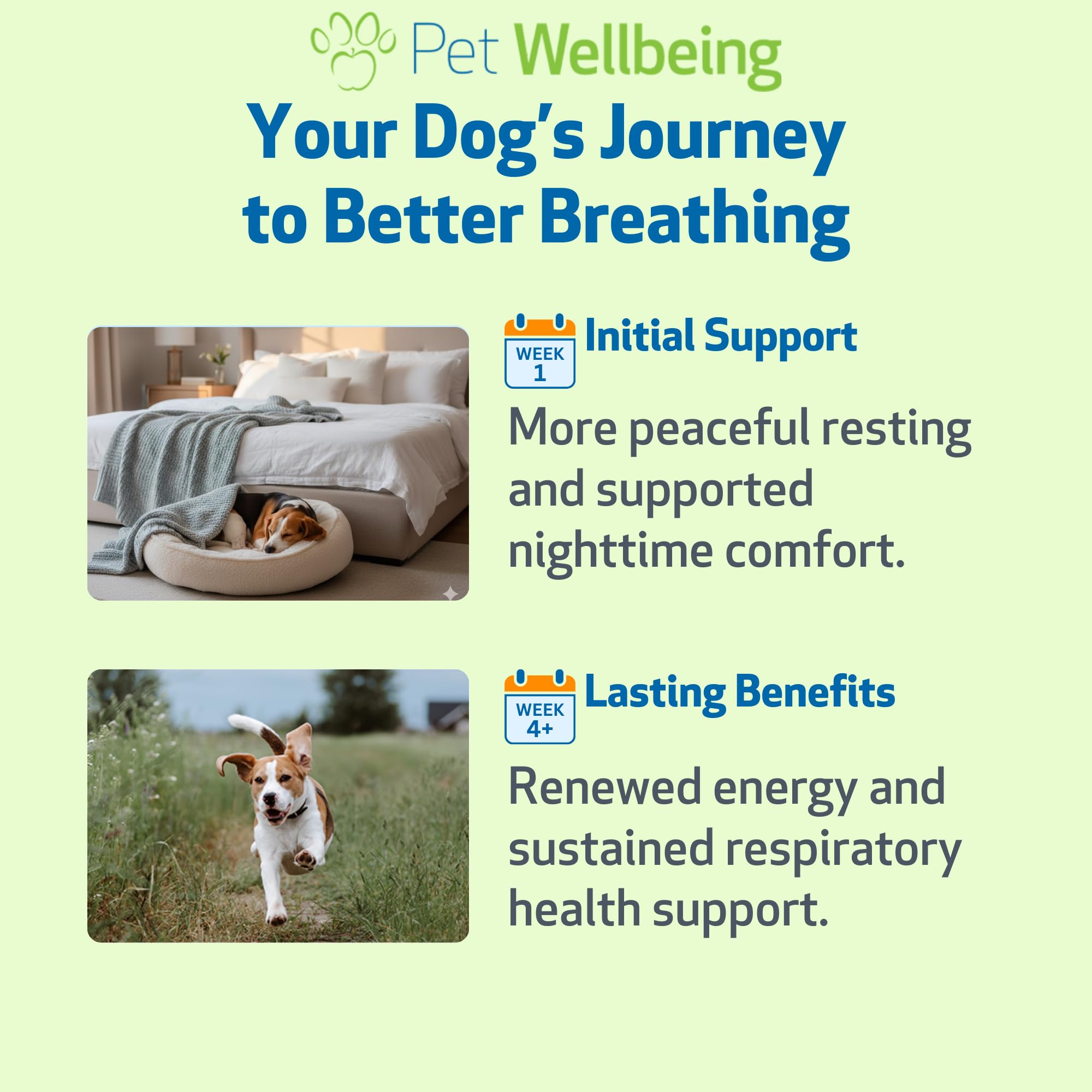 Pet Wellbeing Respir-Gold en main lors de l'administration pour une prise simple et confortable