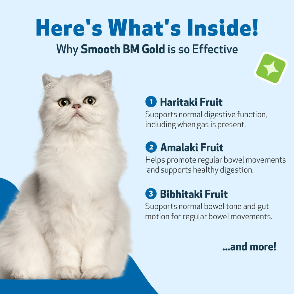 Pet Wellbeing taille comparative avec pièce pour visualiser format