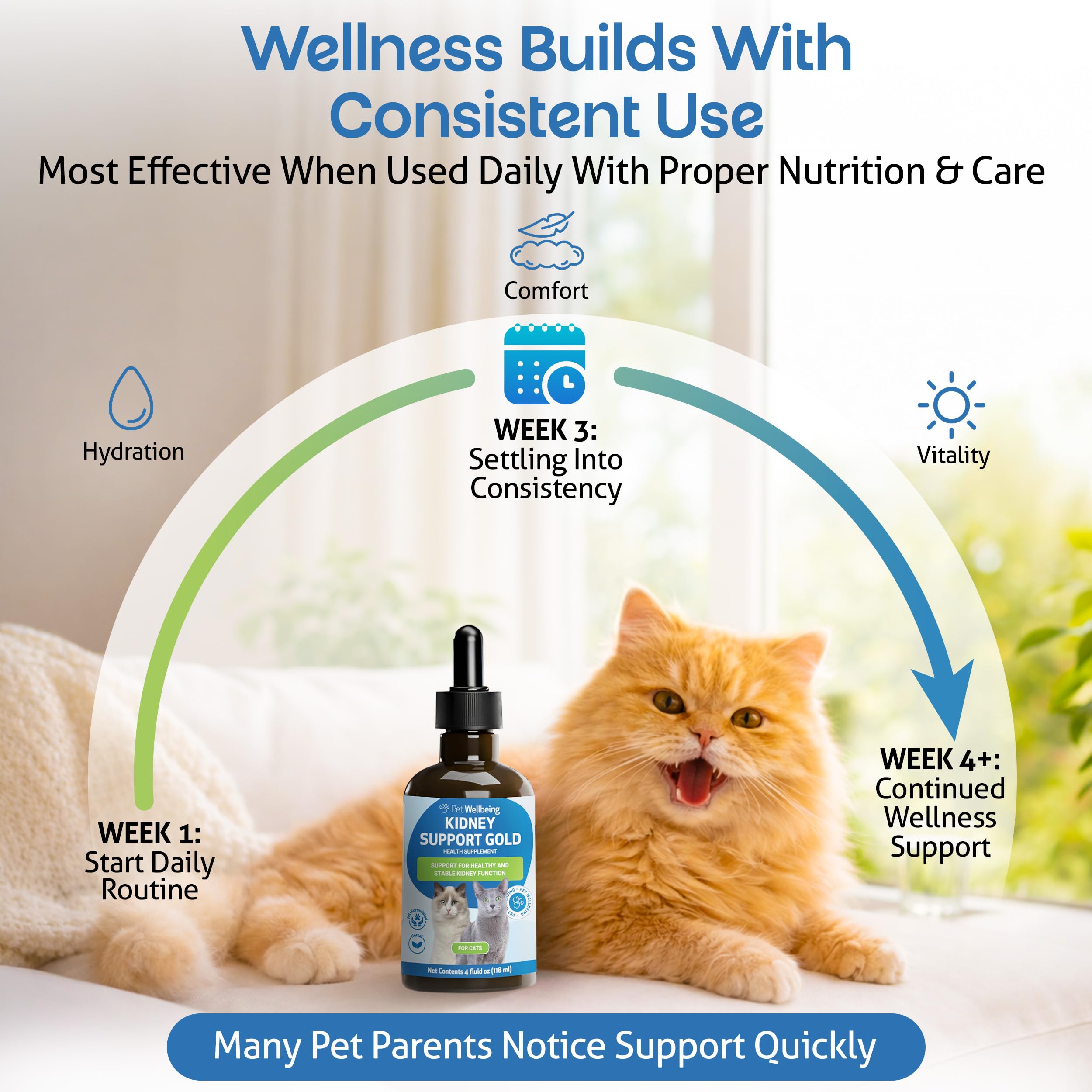 Pet Wellbeing flacon 4 oz à l'échelle pour visualiser la taille pratique