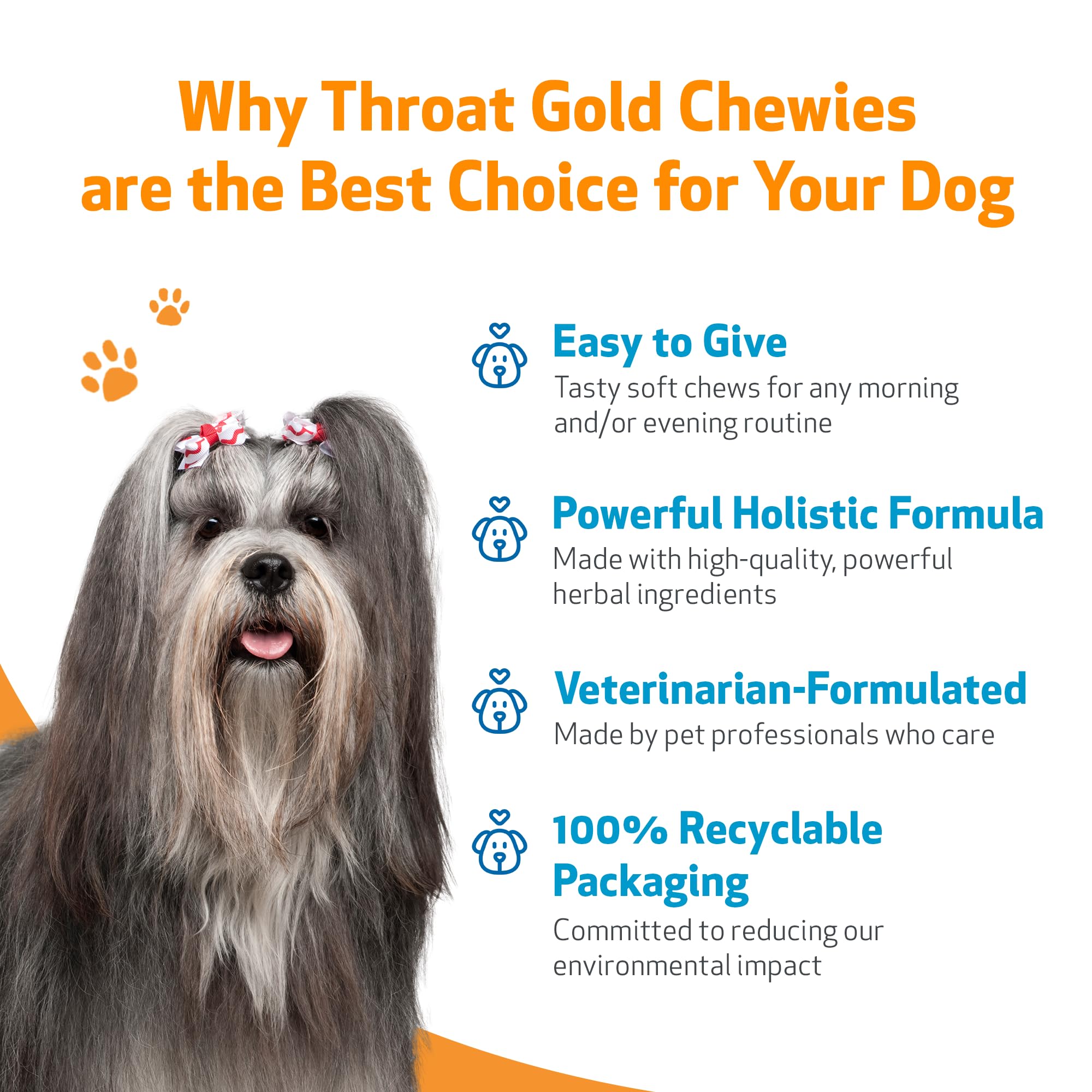 Pet Wellbeing chiot acceptant un chew, appétence favorable et routine simplifiée