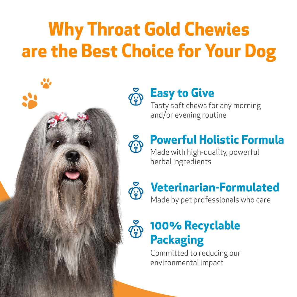 Pet Wellbeing chiot acceptant un chew, appétence favorable et routine simplifiée