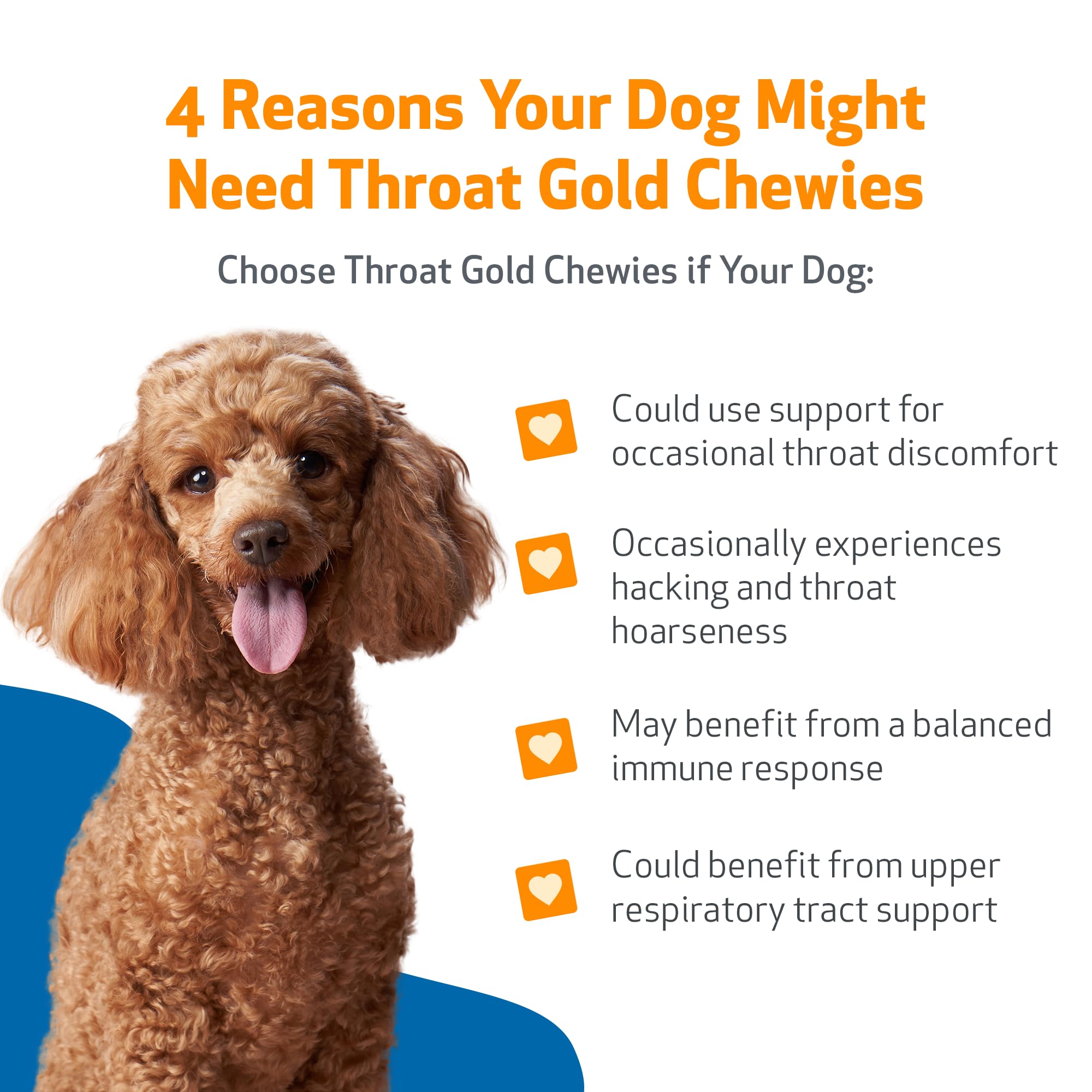 Pet Wellbeing mains donnant un chew au chien, administration sans gâchis