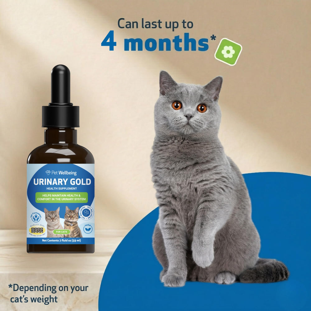 Pet Wellbeing en contexte vétérinaire évoquant contrôle qualité et confiance pro