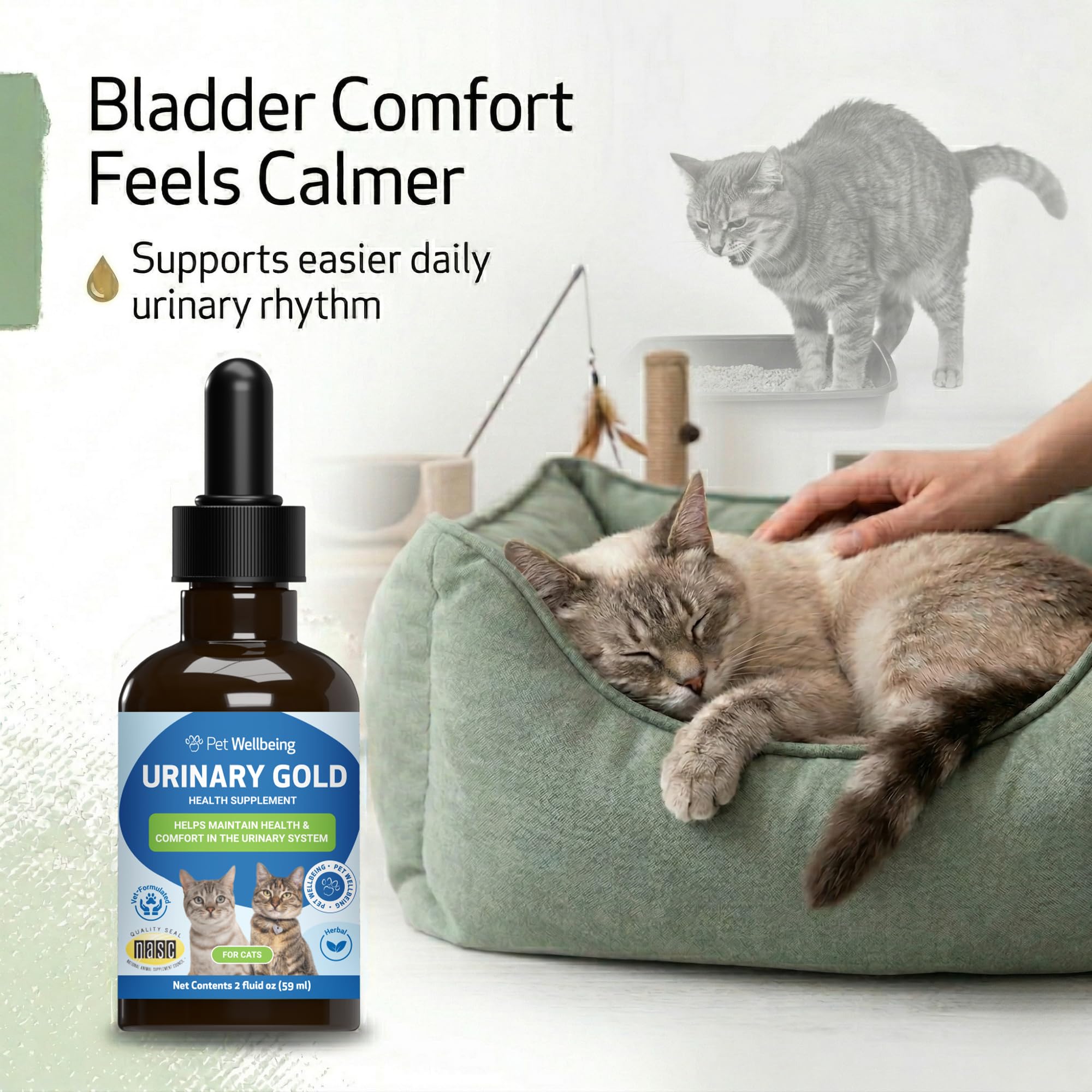 Pet Wellbeing étiquette détaillée mettant en avant ingrédients et dosage pour sécurité
