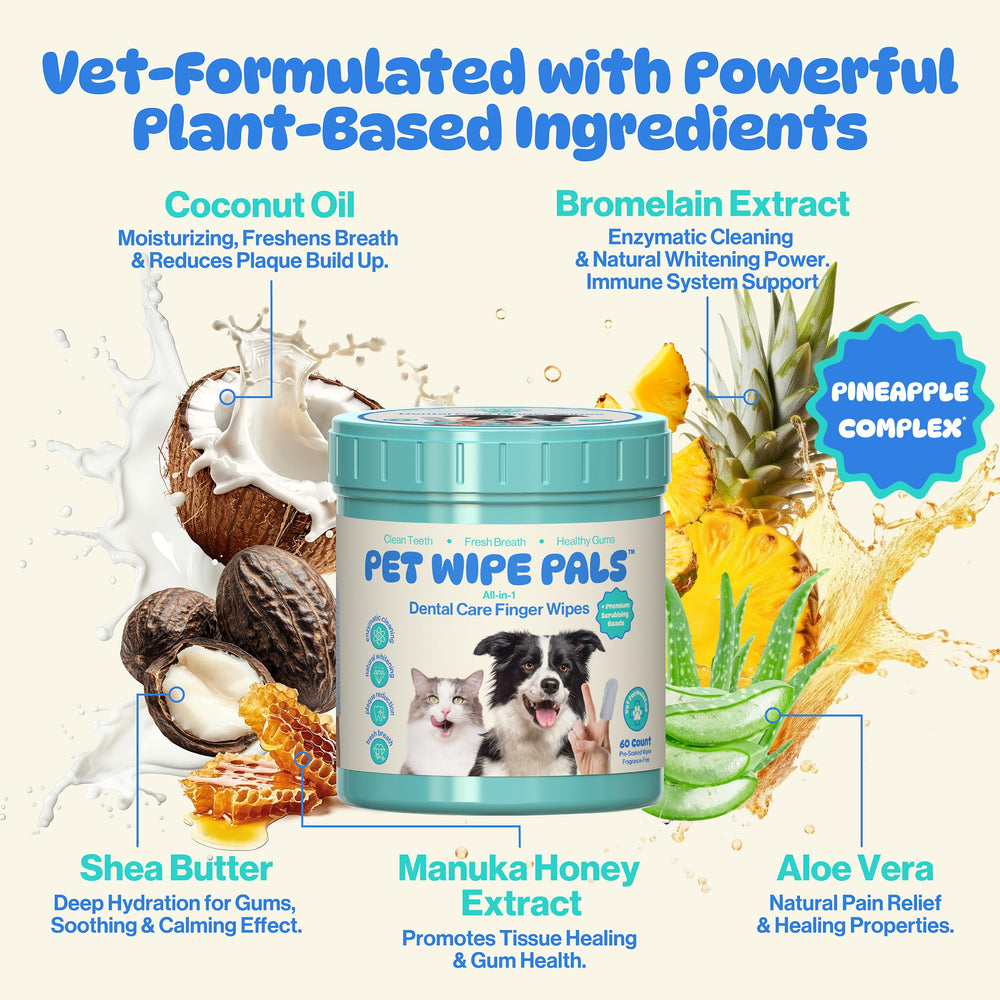 Pet Wipe Pals comparaison avant-après sourire de chien pour haleine améliorée