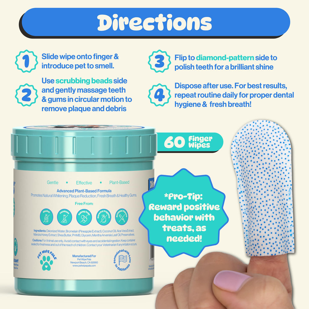 Pet Wipe Pals pot à côté d'une main pour visualiser quantité et portabilité